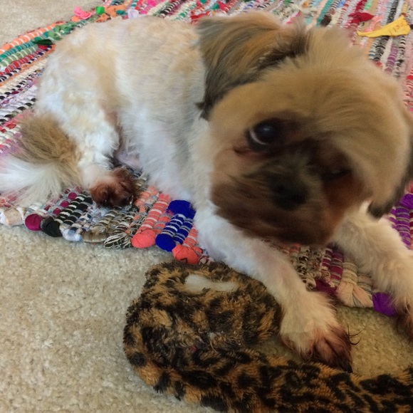 AnnJay and Sam Fashion super stars always in style - Picture 6 of 8